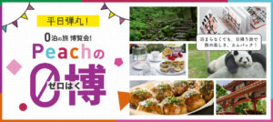 Read more about the article 【Peach】平日の弾丸日帰り旅行０博 ~7/28
