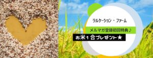 Read more about the article 【ラルケーション・ファーム】メルマガ登録でお米1合プレゼントキャンペーン実施中　タダぽちとやらですな。　